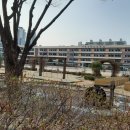 대림주택 이미지