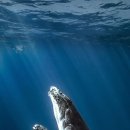 내면탐구 이미지