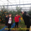 은선농장 이미지