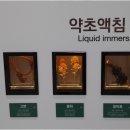 일등한의원 이미지