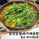 일산 대화동 맛집;임진강 털레기매운탕/ 일산매운탕 추천