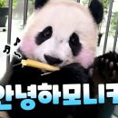 썸네일 - 사상구 | 썸네일
