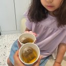 양산 수 사우나 | 양산 효소찜질 금화효소원 8살 딸과 함께한 이색 데이트 후기
