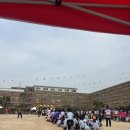 상수초등학교 | 노원 상수초등학교 운동회 후기