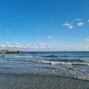 시락국수 이미지