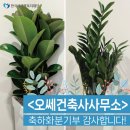 오쎄건축사사무소