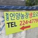 언양농장생오리 이미지