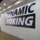 다이나믹 복싱체육관 이미지