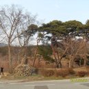 당산농원 Daum카페