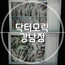 닥터모락 강남점 이미지