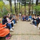 이화숲 Daum카페