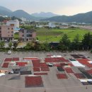 동안경찰서 앞 이미지