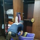 백호익스프레스 네이버블로그