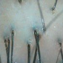 닥터포헤어안산 이미지