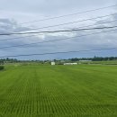 더메모리,해피 이미지