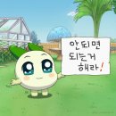 홍천시티투어 | |홍천| 동기 여행 : 비발디에서 인생 첫 보드 도전기 (개같이 멸망🎀)