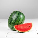 해빙데이 이미지