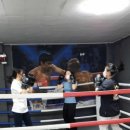 원투복싱 다이어트클럽 이미지