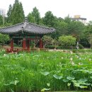 덕진-116 이미지