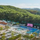 인앤양양 이미지