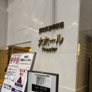 신세기음향 | [기록] 2026년 3~4월 원정(하이도, 프치브라, 데드팝, 아지캉)
