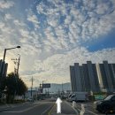 지에스25 안성죽산점 | 경기옛길 영남길 9코스 죽산성지순례길 : 9.10코스 정방향걷기