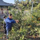 용산2농장 이미지