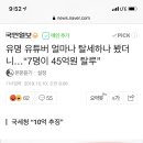 유명 유튜버 얼마나 탈세하나 봤더니…“7명이 45억원 탈루” 이미지