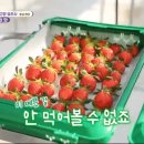 솔치농장 이미지