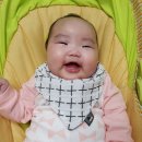 럭키워시 이미지