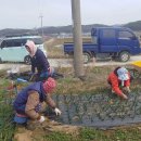 김현숙농장 이미지