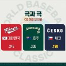 WBC C조 팀 타율 이미지