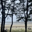 태안 여행-) 병술만 어촌체험마을 바지락캐기 & 캠핑 완벽 후기 (안면도 갯벌 체험)