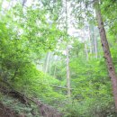 숲속농장 이미지