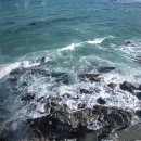 돌고래식당 이미지