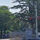 세븐일레븐편의점 앞 이미지