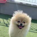 씻을개 이미지