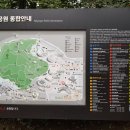 백제태권도체육관 이미지