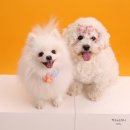 아임2스튜디오 이미지
