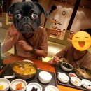 더뷔페별관 이미지