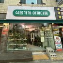 이끼다움