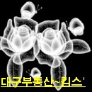 금대지부동산중개사무소 이미지