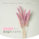 sunny house 이미지