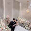 미브이 | 상록아트홀 그랜드볼룸홀 아이폰스냅 로지미 쥬빌리브라이드 본식 후기