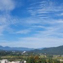 맑은아침 이미지