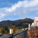 바름 행정사사무소 이미지