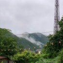 로뎀나무펜션 - 논산시 연무로 71 | 로뎀나무펜션