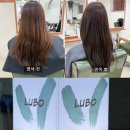 하경헤어 - 수영구 구락로 47-1 | 신사동 미용실 [루보헤어 신사점] 신사역 레이어드컷, 톤다운염색 하경디자이너 솔직후기