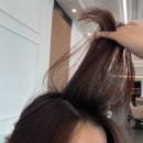 지축중학교 | [덕양구] 지축역미용실 비브헤어 후기!