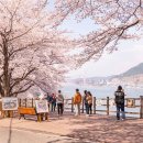 남해가봄 이미지